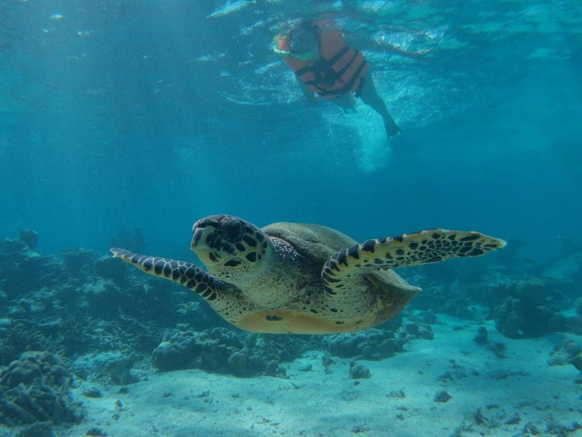 Chambao Maldives 호텔 구라이두 외부 사진
