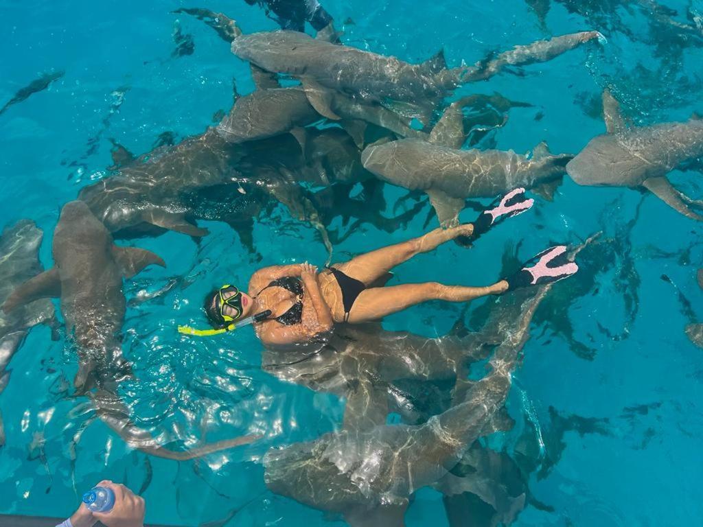 Chambao Maldives 호텔 구라이두 외부 사진