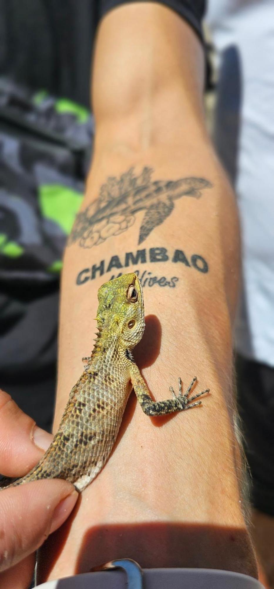 Chambao Maldives 호텔 구라이두 외부 사진